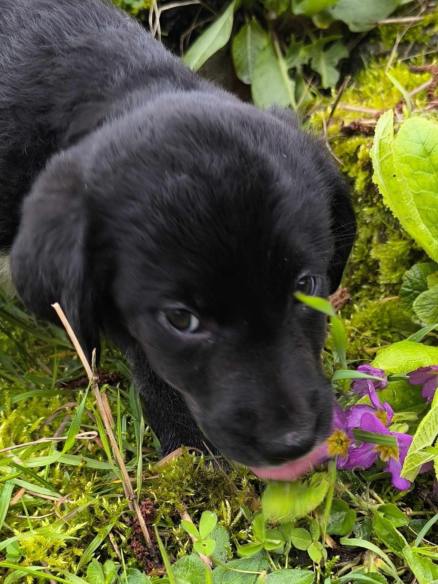 431857818 2140840196273193 2137299604035775028 N