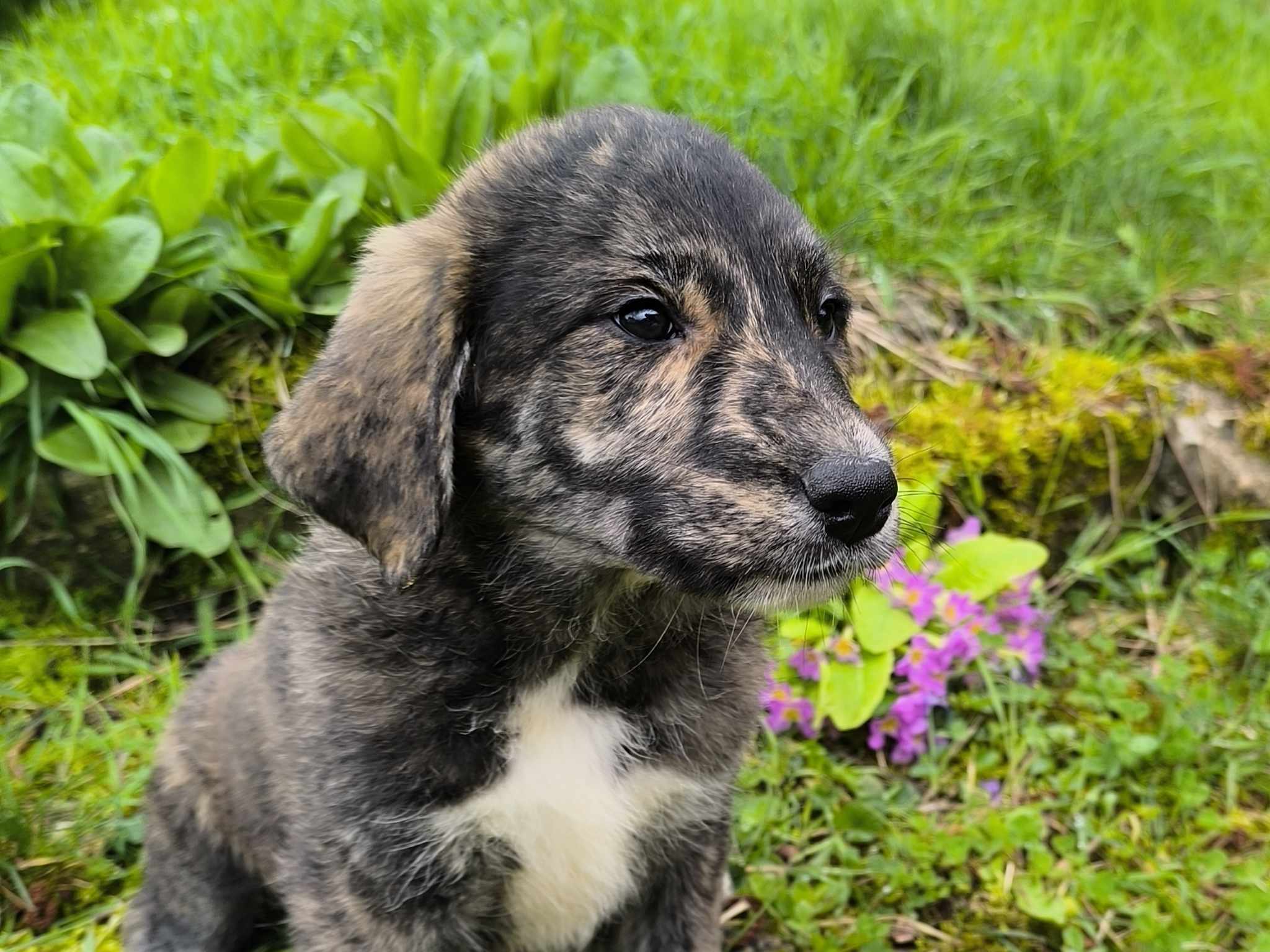 team-03 431869664 443625968022316 5827287633461761900 N