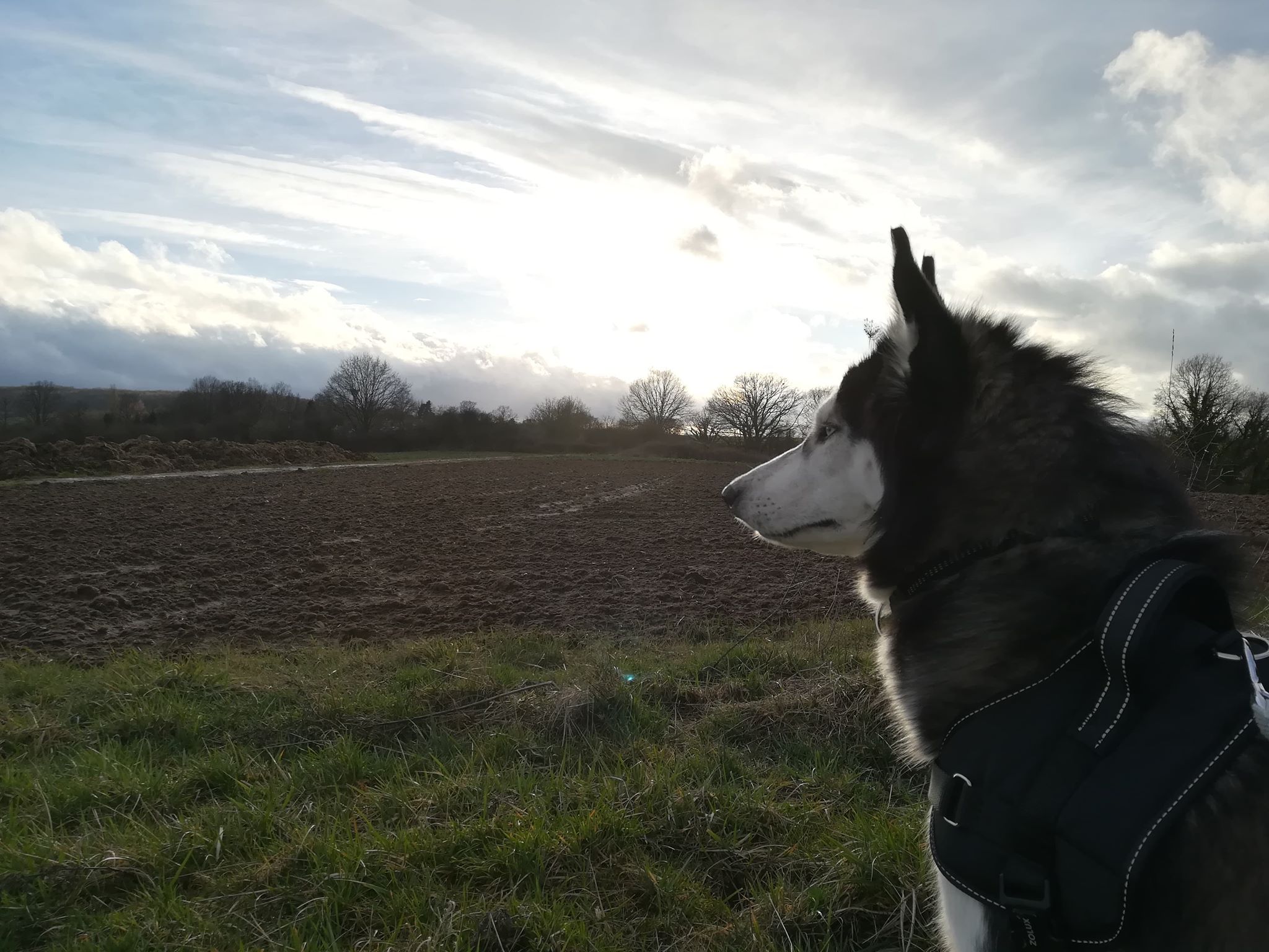 team-02 53366857 633520717079791 7667539693159841792 N