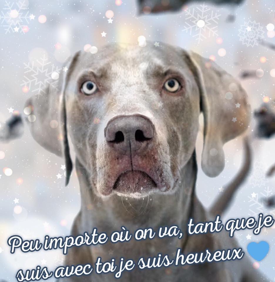 team-01 53701914 2127398747376461 2249259160141037568 N