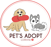 Pet's adopt