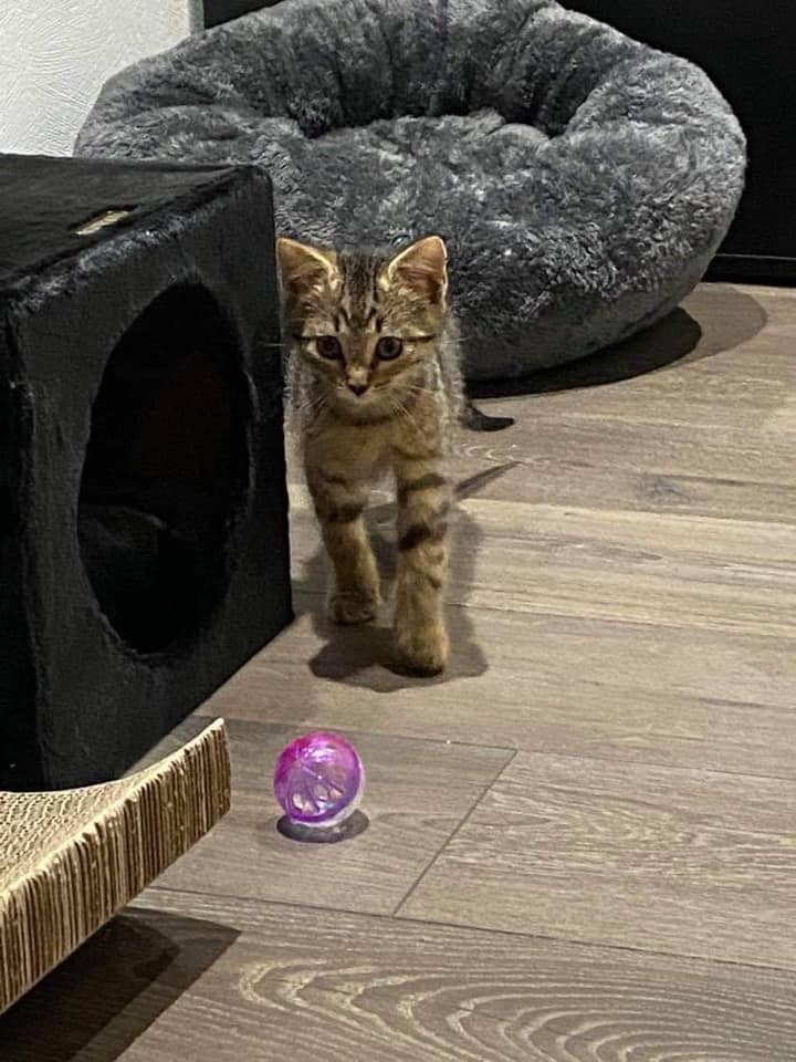 team-04 Sirius3 Copie